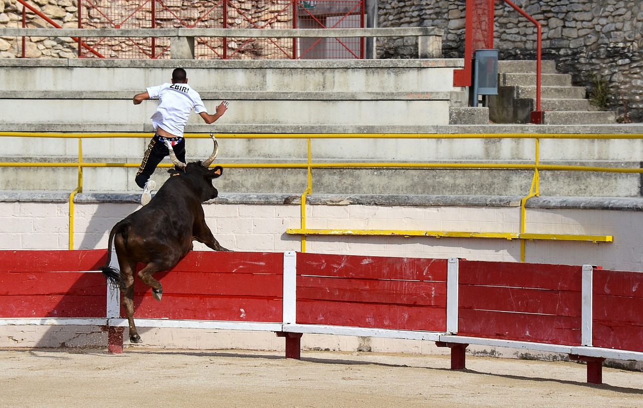 的体验