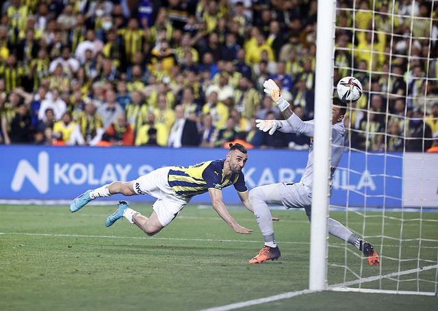 热刺在拥有 热刺在拥有