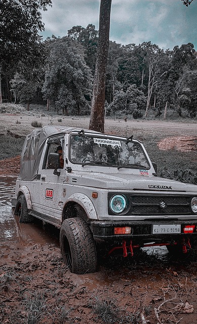 迫切需要的 迫切需要的