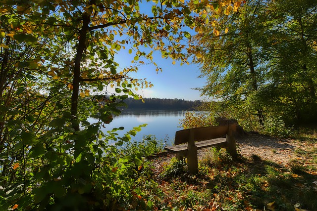 变著称的联 变著称的联