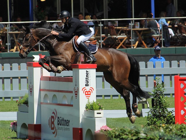 方式与大家 方式与大家